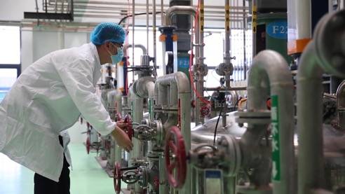 責(zé)任民企顯擔(dān)當(dāng)，靠上服務(wù)助復(fù)產(chǎn)——泰安生物技術(shù)企業(yè)馳援抗疫一線